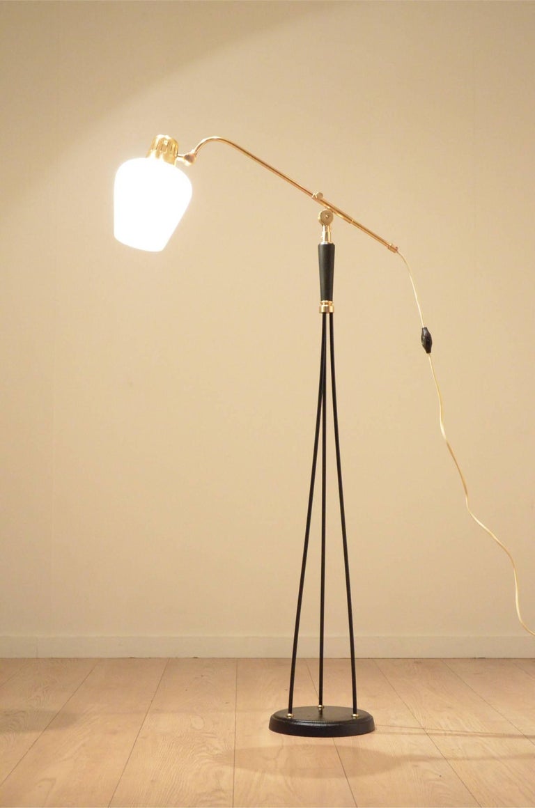 levi johnston kathy griffin dating