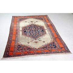 Early 20th Century Ferahan Persian Cotton and Wool Rug