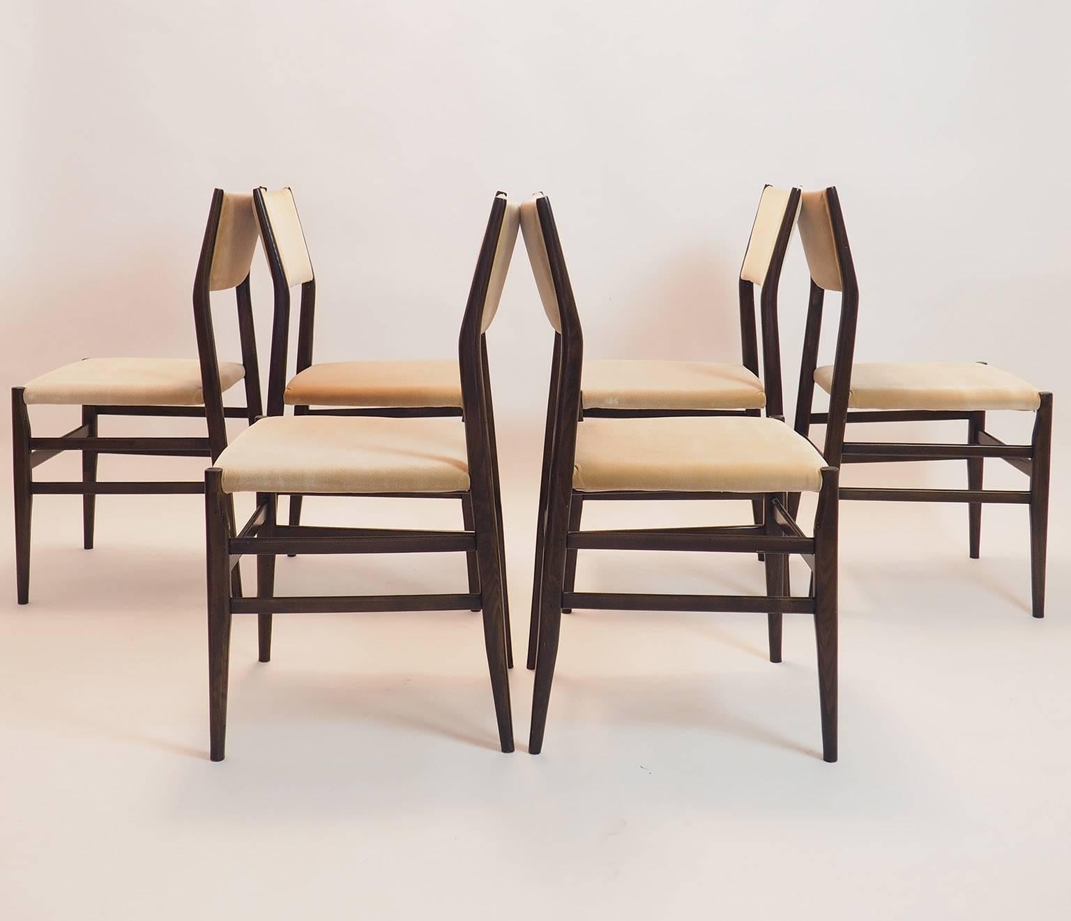 Mid-Century Modern Gio Ponti Midcentury Chairs 