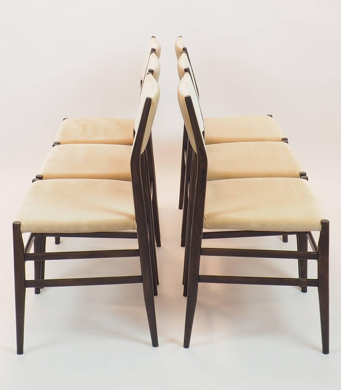 Italian Gio Ponti Midcentury Chairs 
