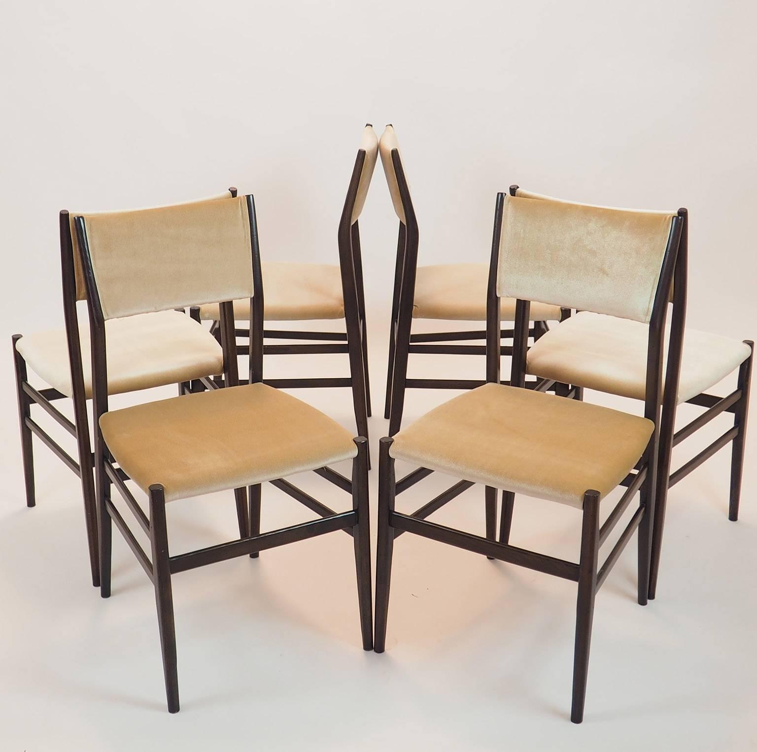 Mid-20th Century Gio Ponti Midcentury Chairs 