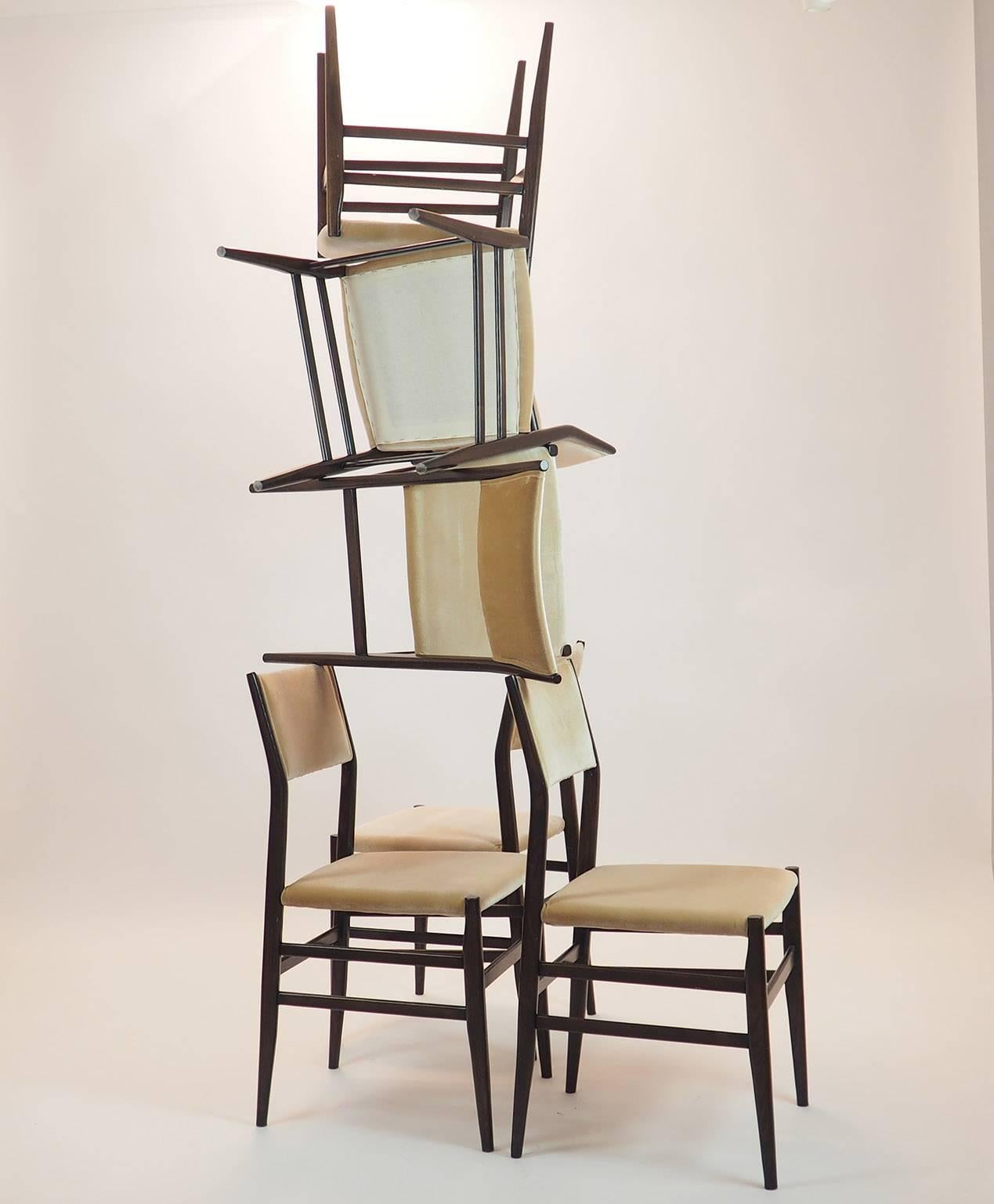 Gio Ponti Midcentury Chairs 