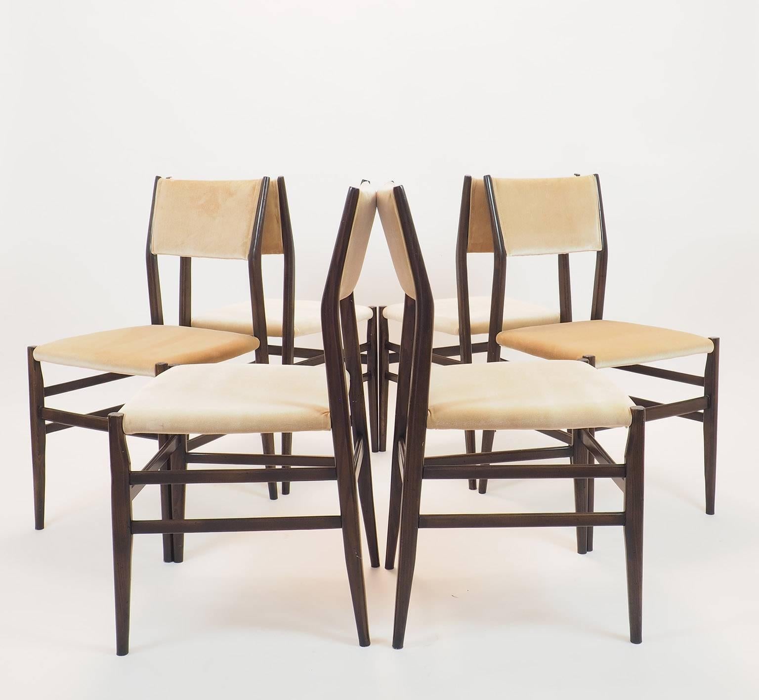 Gio Ponti Midcentury Chairs 