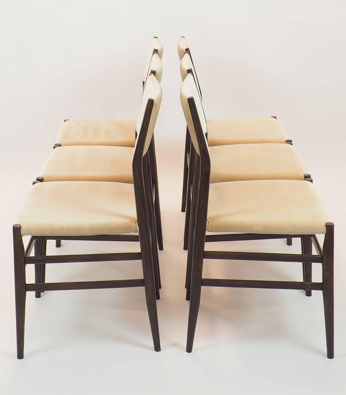 Italian Gio Ponti LEGGERA Champagne Velvet Chairs by  Cassina Milano 1952 For Sale