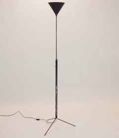 Tito Agnoli Adjustable Floor Lamp with Black Conic Reflector, Milano, 1950s