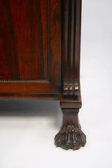 George IV Rosewood Chiffonier