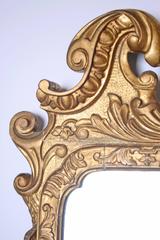 Late 19th Century Gilt Gesso Wall Mirror