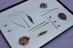 1960s Art Mirror by Hart Mirror Plate Company