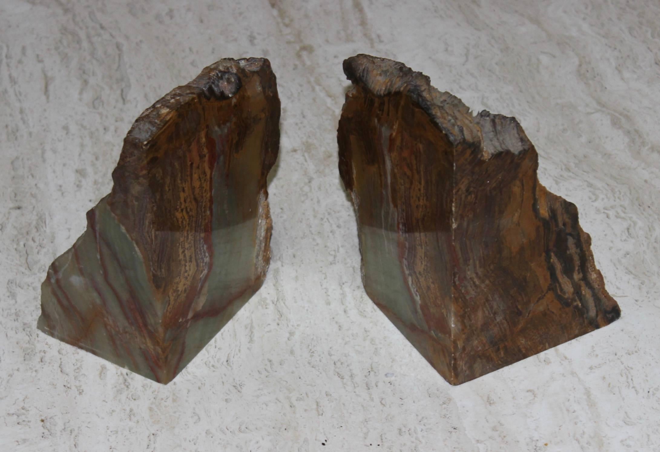 Stunning pair of petrified wood bookends.