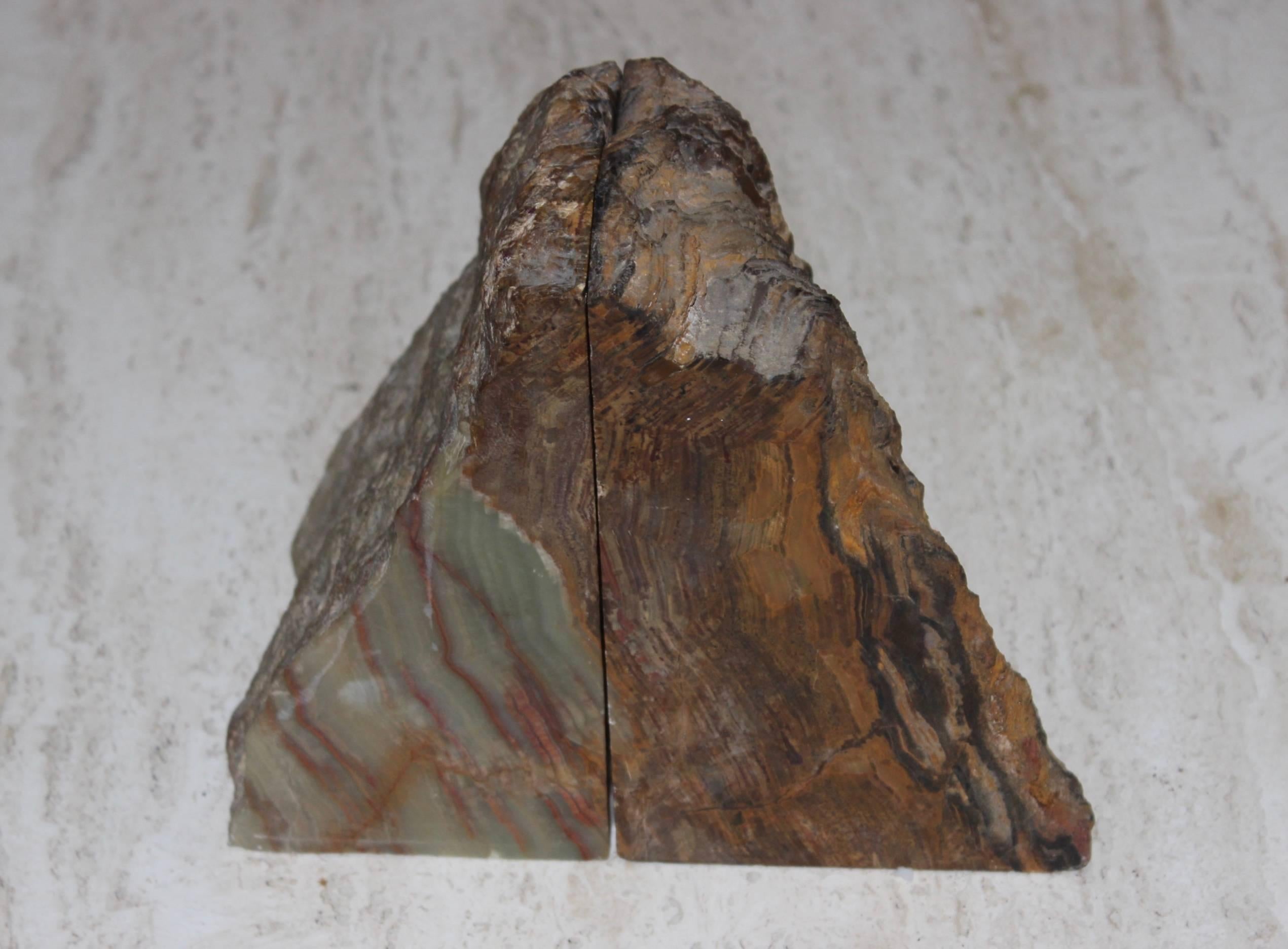Mid-Century Modern Petrified Wood Bookends For Sale