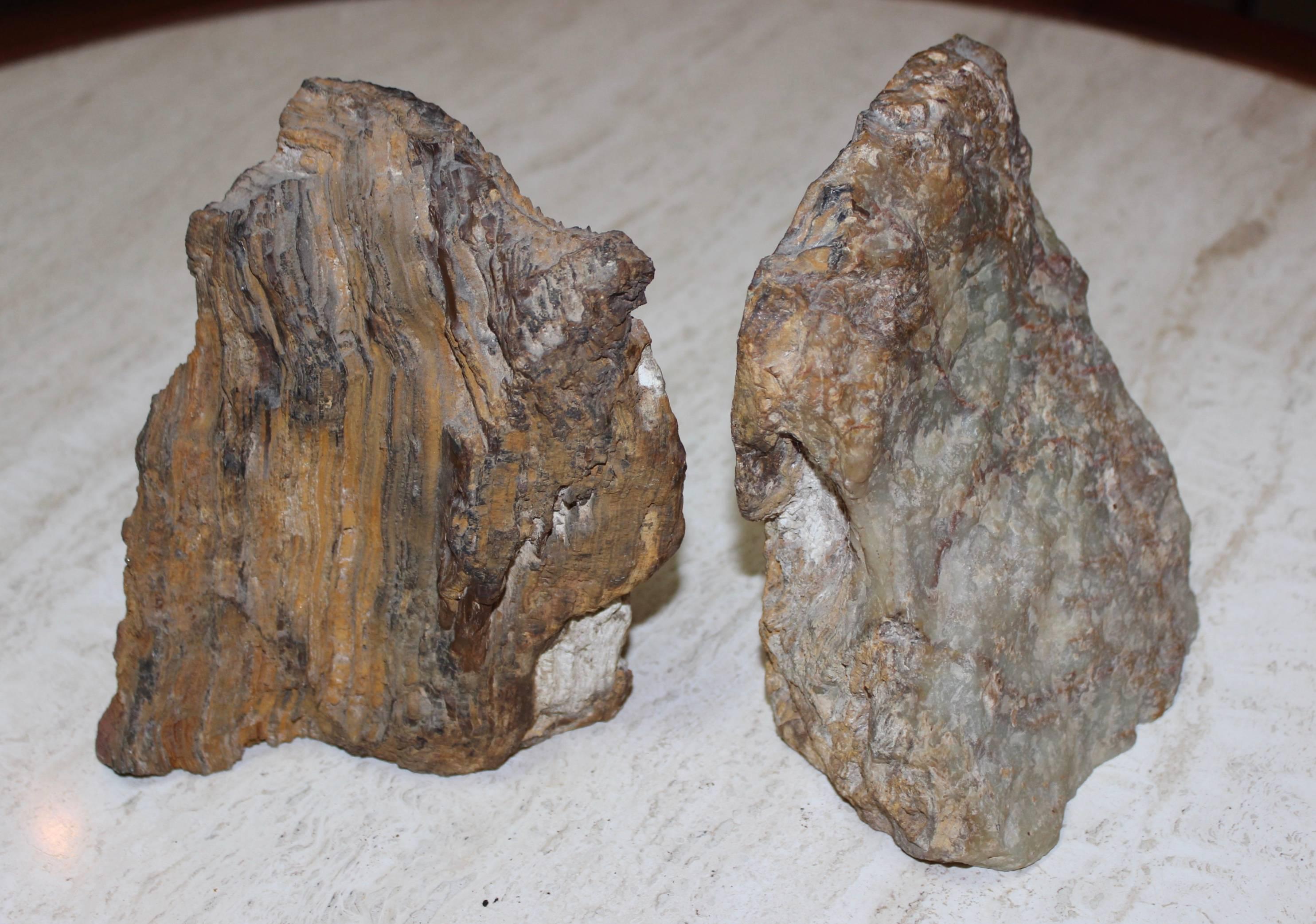 Petrified Wood Bookends In Good Condition For Sale In New York, NY