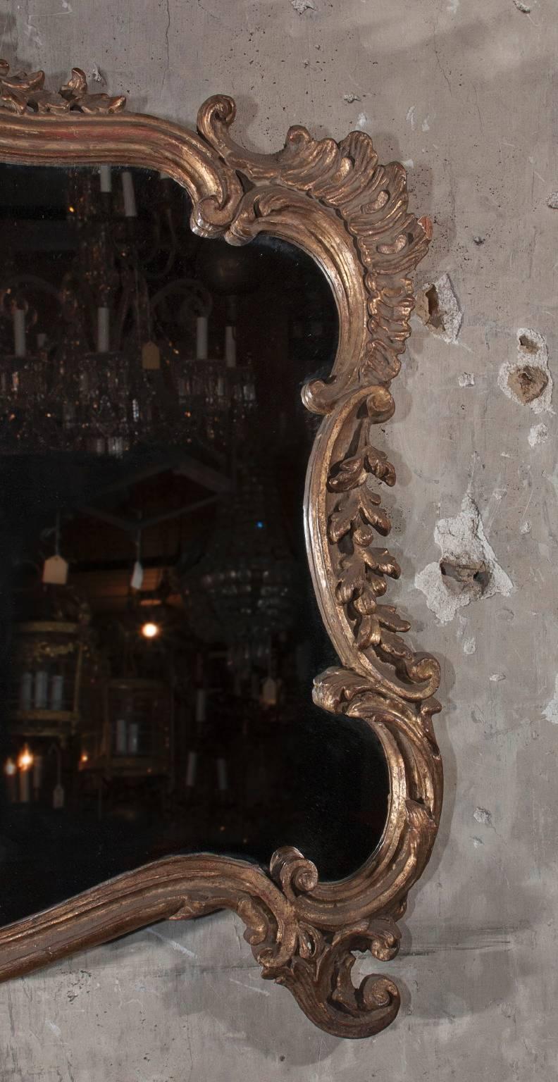 Miroir horizontal sculpté et doré du 19e siècle Bon état - En vente à New Orleans, LA