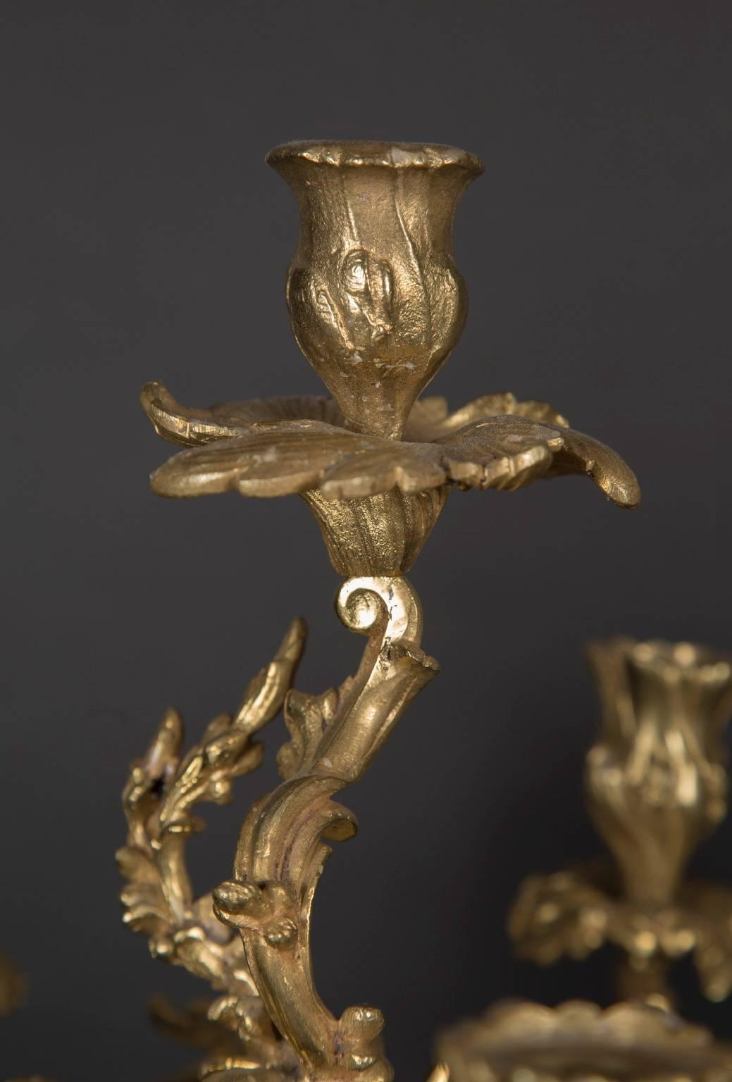 Paar französische Bronze d'Oré-Kerzenständer des 19. im Zustand „Hervorragend“ im Angebot in New Orleans, LA