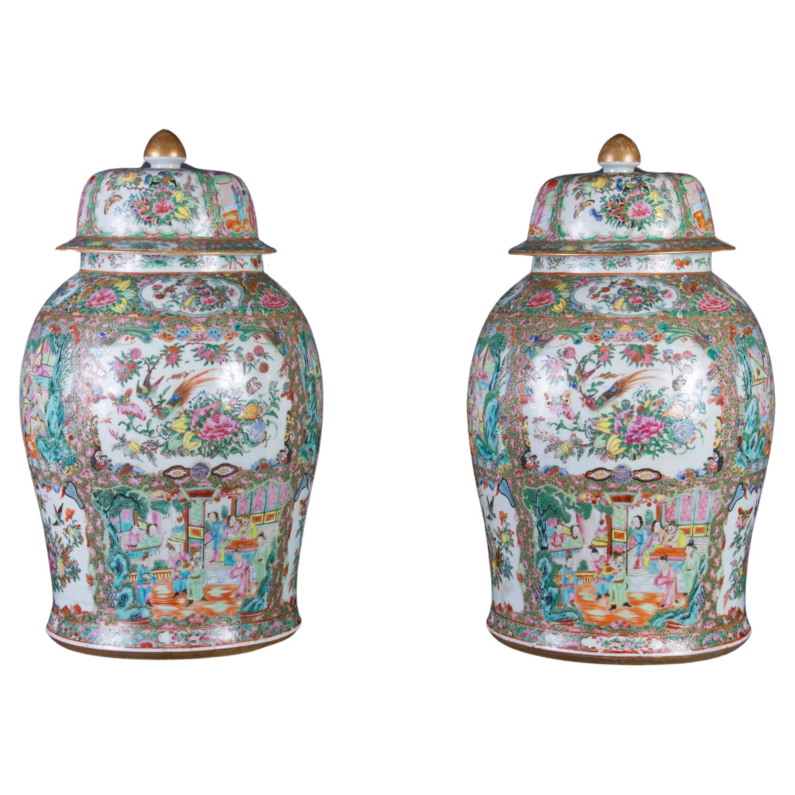 Pair: Exquisite Early 19th Century Chinese Rose Medallion Porcelain Temple Jars For Sale