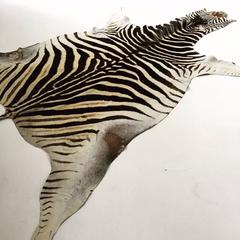 Zebra Hide Rug 