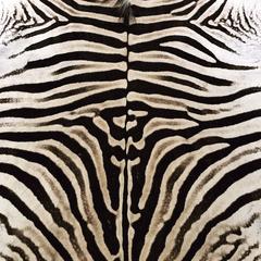 Zebra Hide Rug Trimmed in Maasai Warrior Blanket