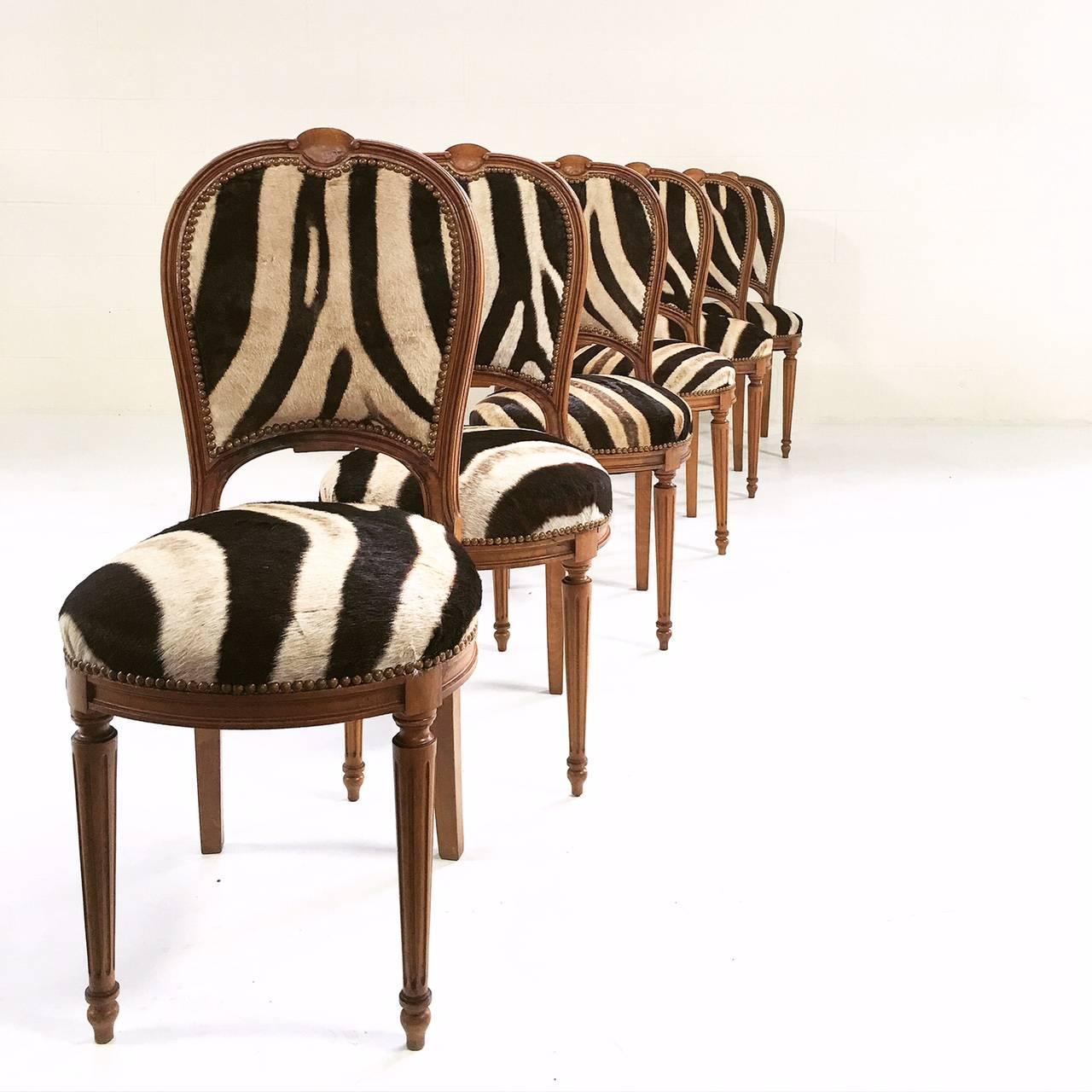 A finely constructed set of six Louis XVI style dining chairs by Maison Jansen. Beautiful tapered reeded legs support an apron with four box corners. New master upholstery in zebra hide looks stunning on the arch and curved back. Stylishly finished