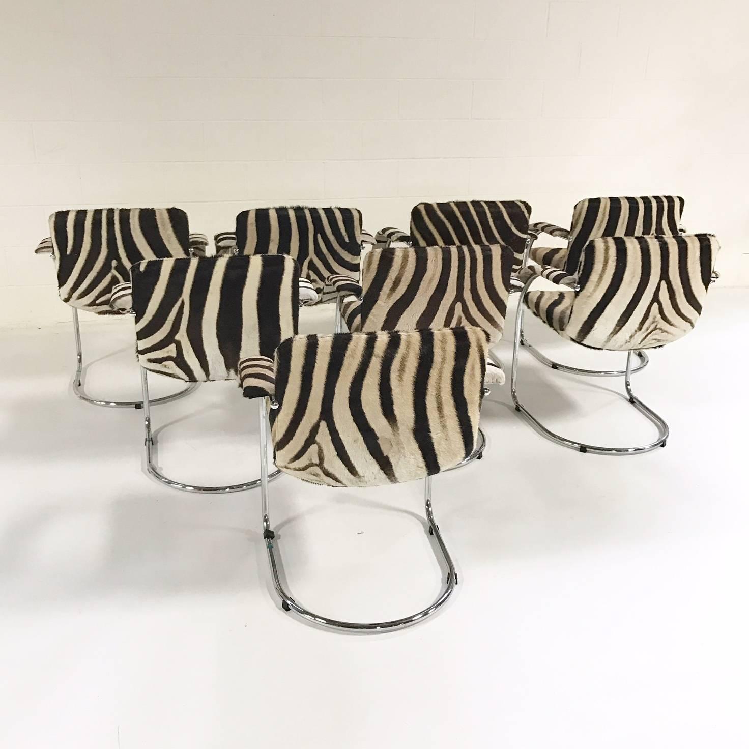 Set of Eight Giovanni Offredi for Saporiti Italia Lens Chairs in Zebra Hide 1
