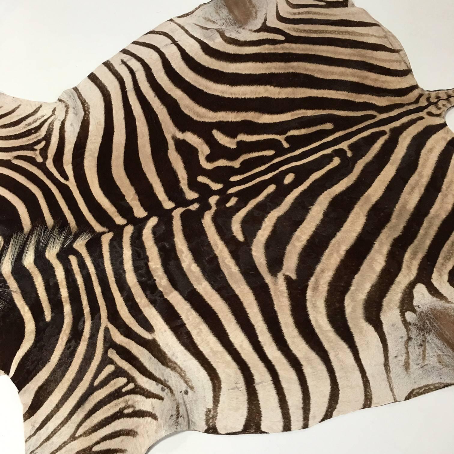 Forsyth zebra hides are hand selected with a critical eye for their one-of-a-kind coloring, stripe patterns, and natural markings by the Forsyth team. Each hide is unique and meets our high standards of hair quality, tanning excellence, and size.