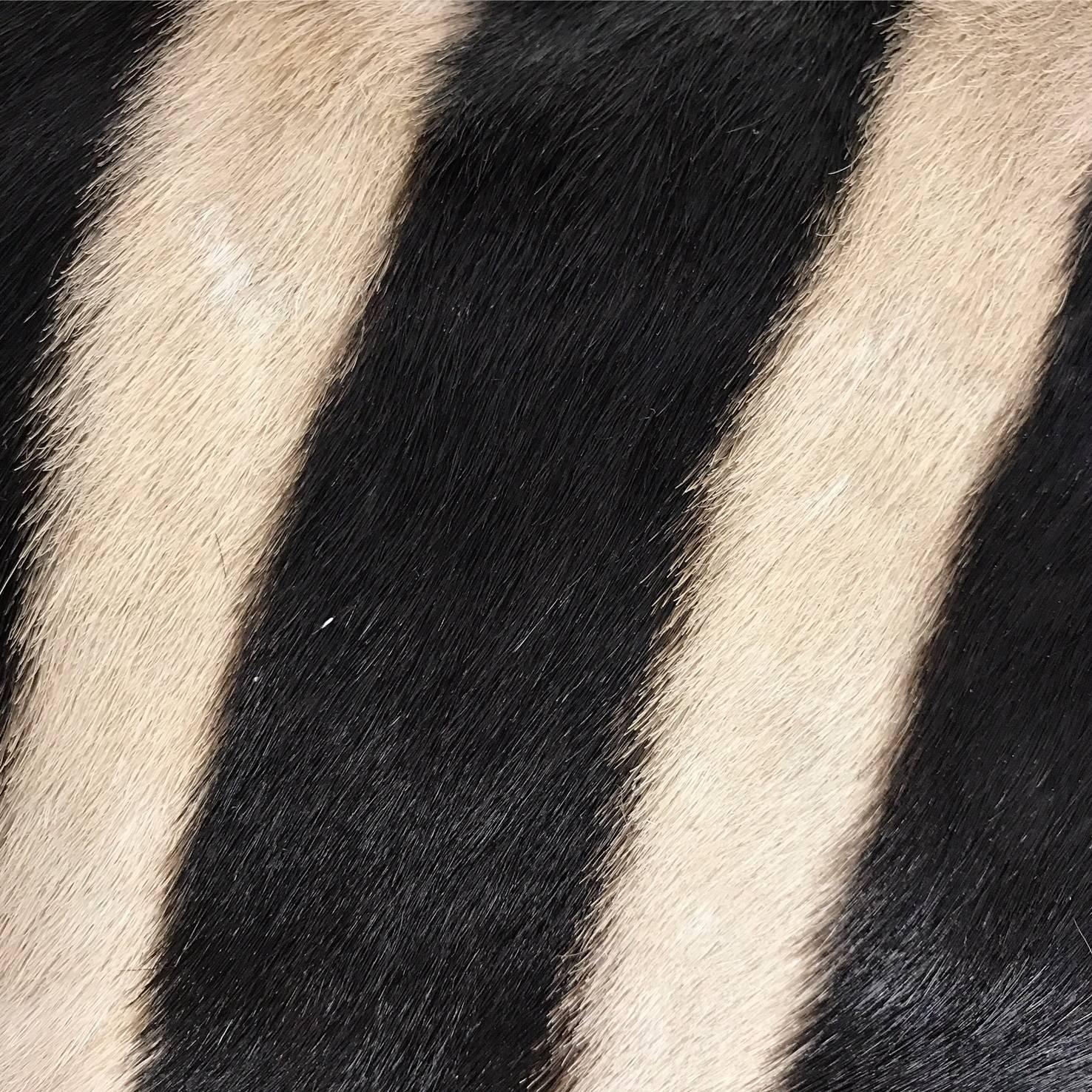 Forsyth zebra hide pillows are simply the best. The most beautiful hides are selected and hand-cut, hand-stitched and hand stuffed with the finest goose down. Each step is meticulously curated by Saint Louis based Forsyth artisans. Every pillow is a