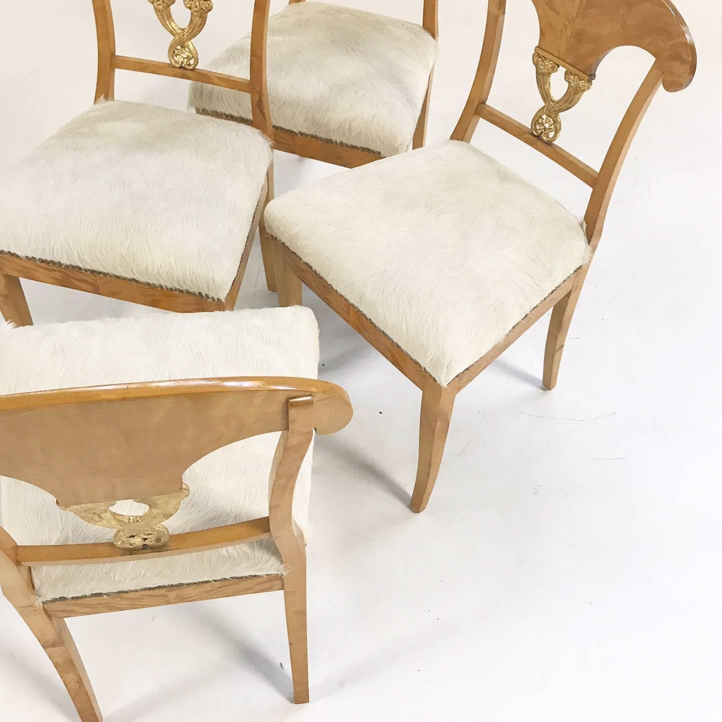 Set of Four Satin Birch Biedermeier Chairs in Ivory Brazilian Cowhide circa 1820 1