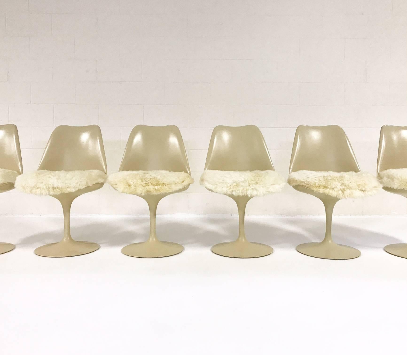 Mid-Century Modern Eero Saarinen Tulip Chairs with Custom Brazilian Sheepskin Cushions, Set of Six