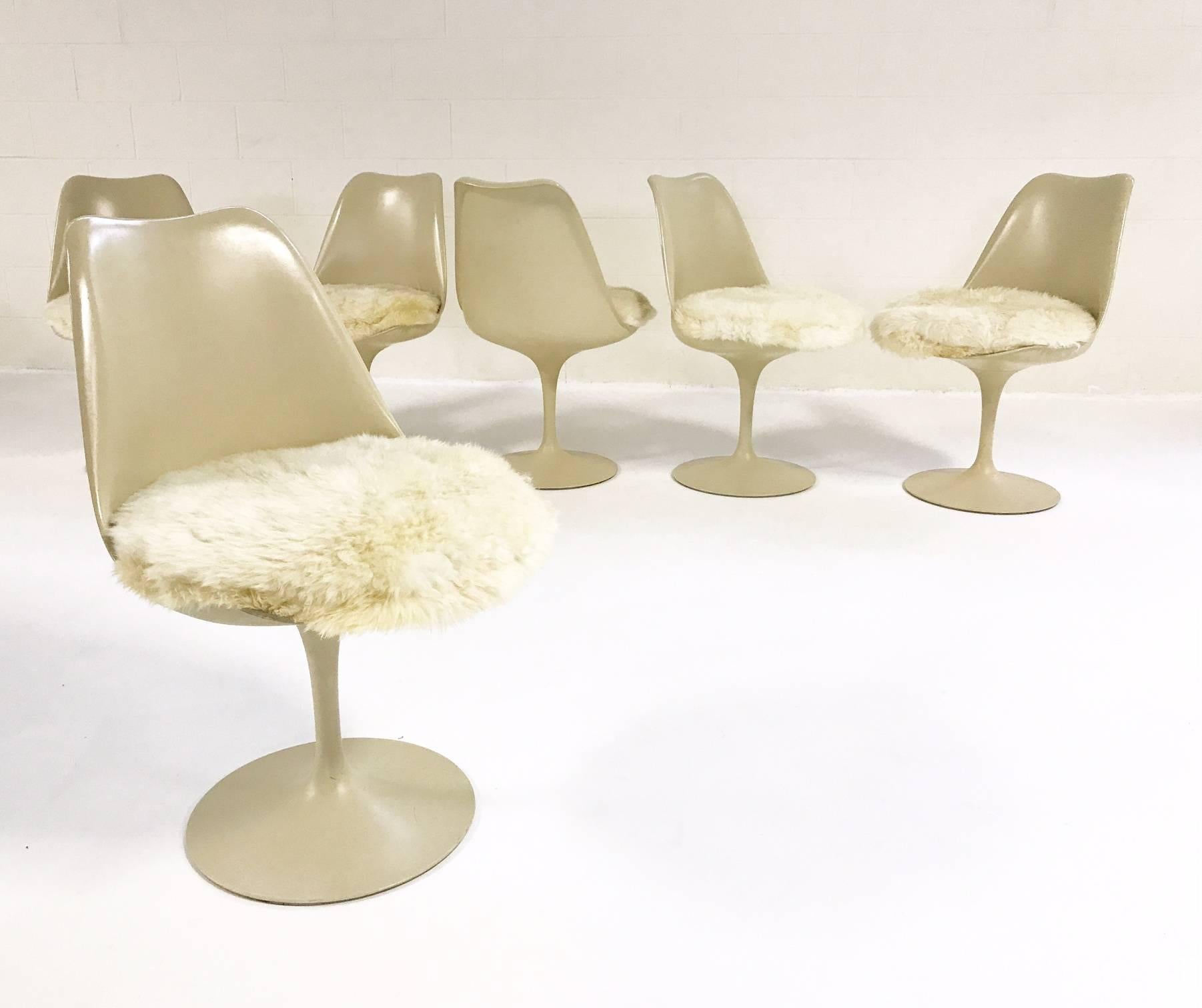 American Eero Saarinen Tulip Chairs with Custom Brazilian Sheepskin Cushions, Set of Six