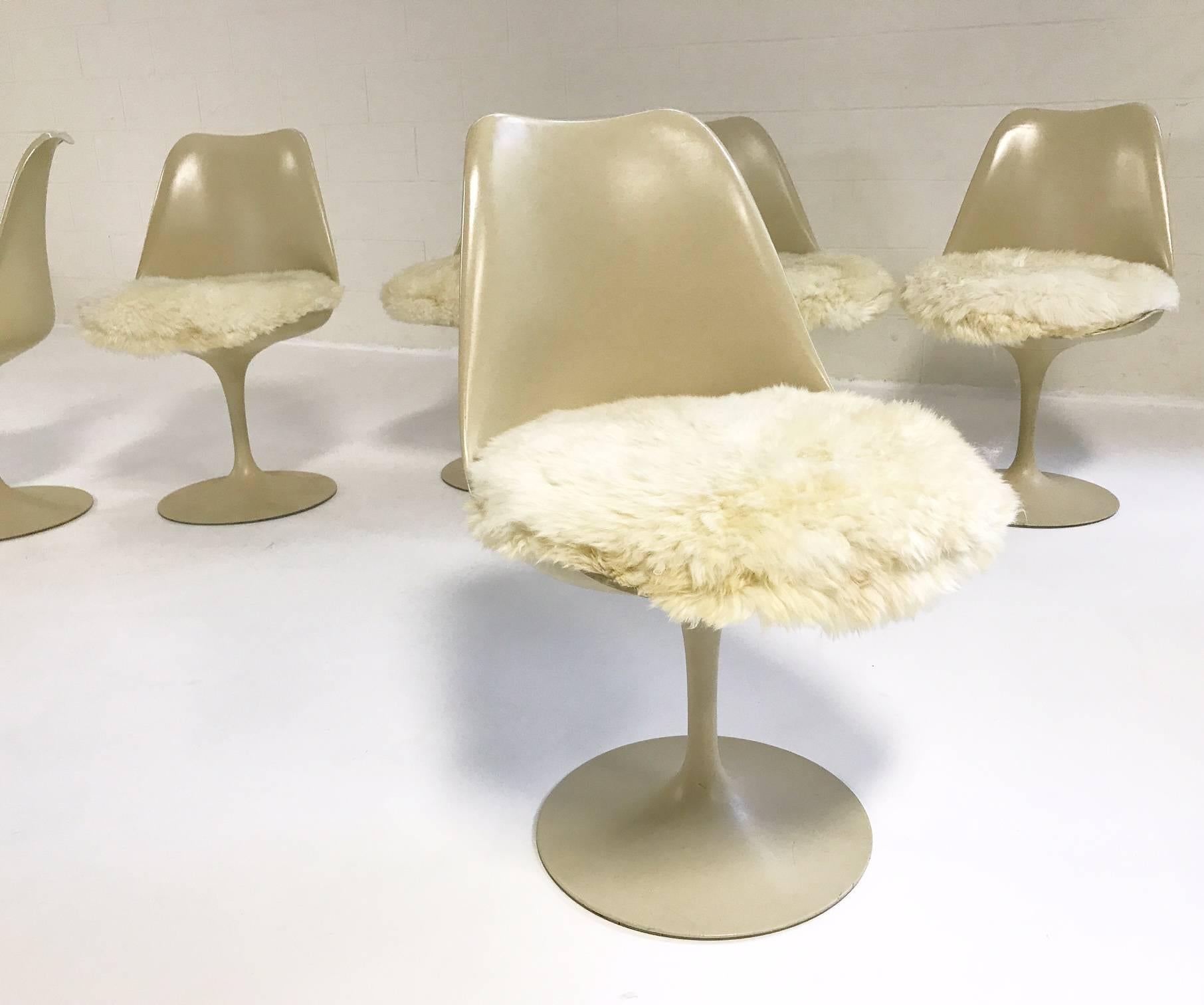 Eero Saarinen Tulip Chairs with Custom Brazilian Sheepskin Cushions, Set of Six 2