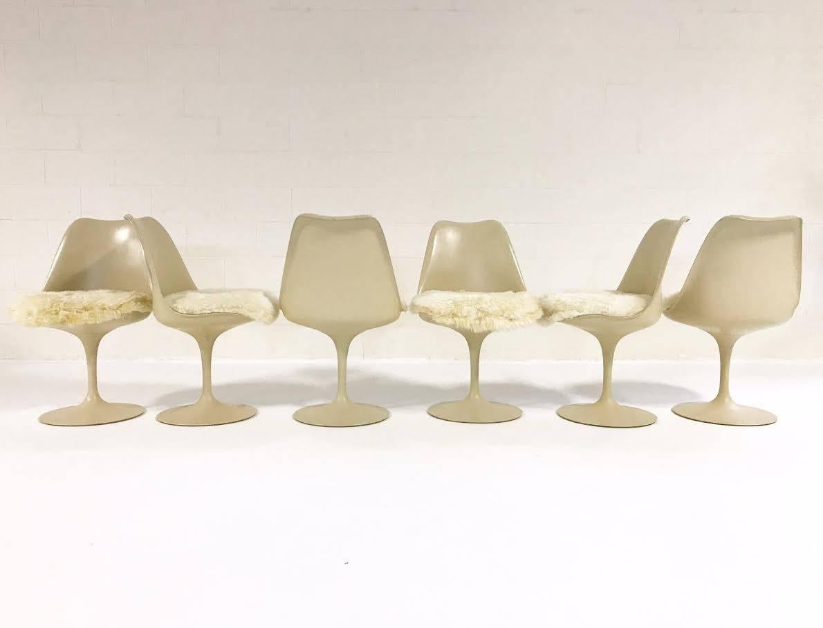 Eero Saarinen Tulip Chairs with Custom Brazilian Sheepskin Cushions, Set of Six 3