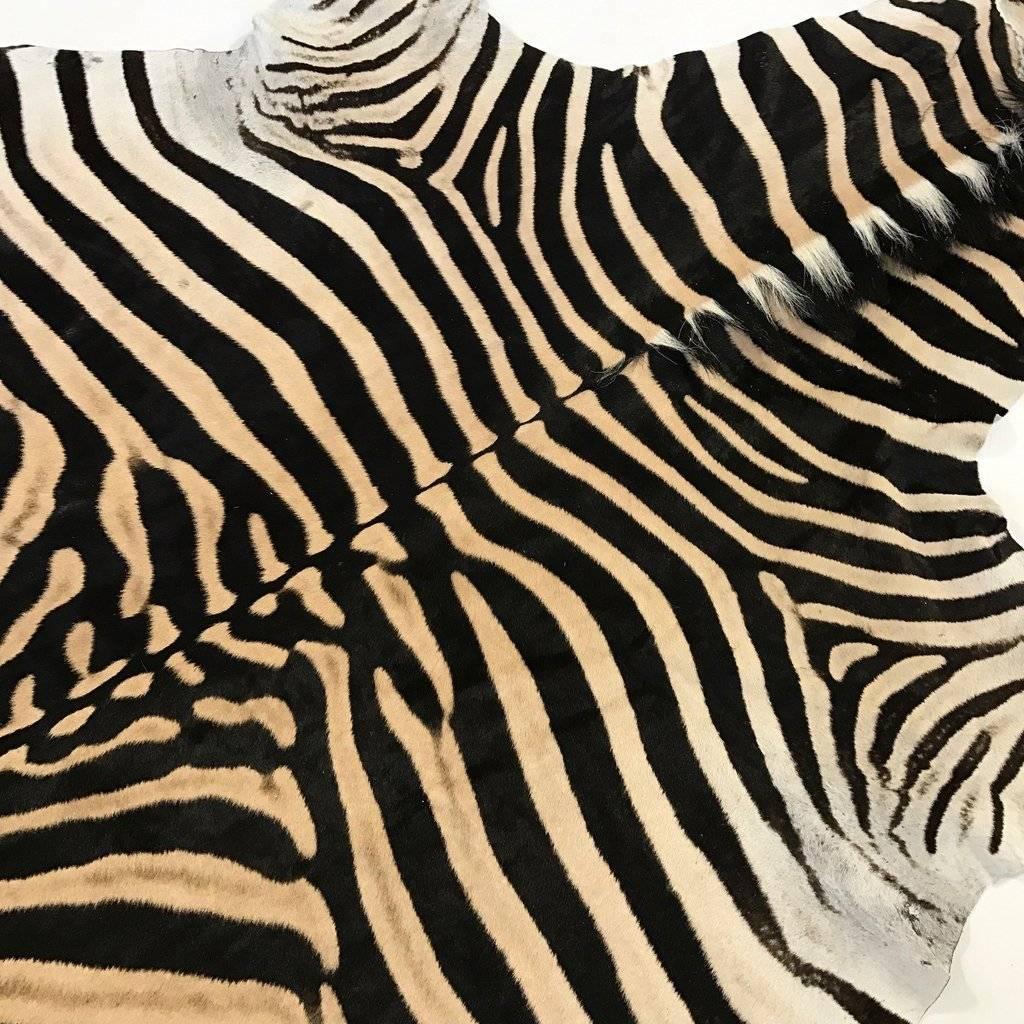 South African Natural Zebra Hide Rug