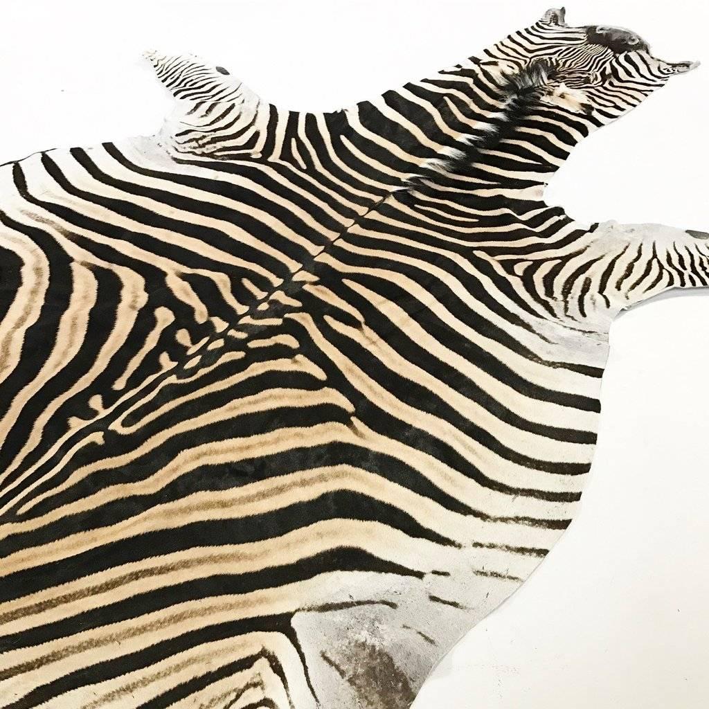 Natural Zebra Hide Rug In Excellent Condition In SAINT LOUIS, MO