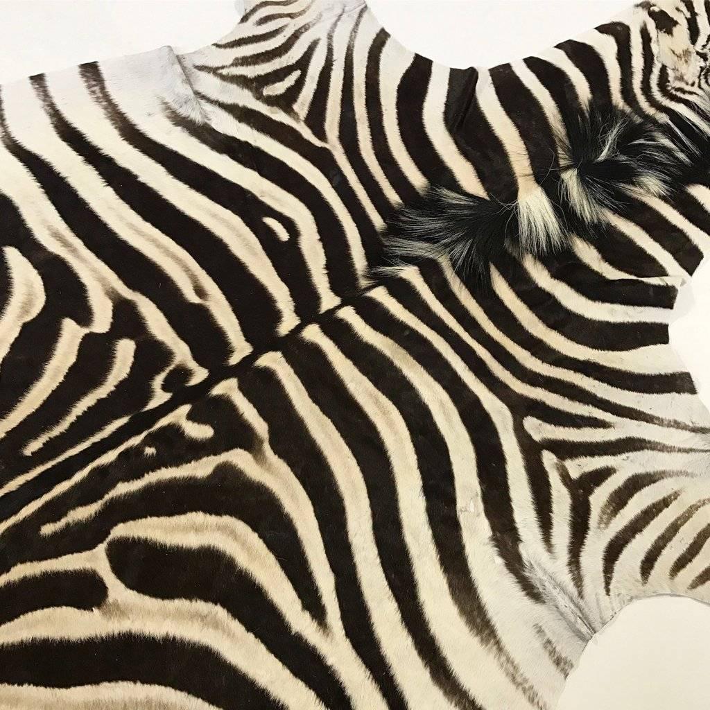South African Zebra Hide Rug