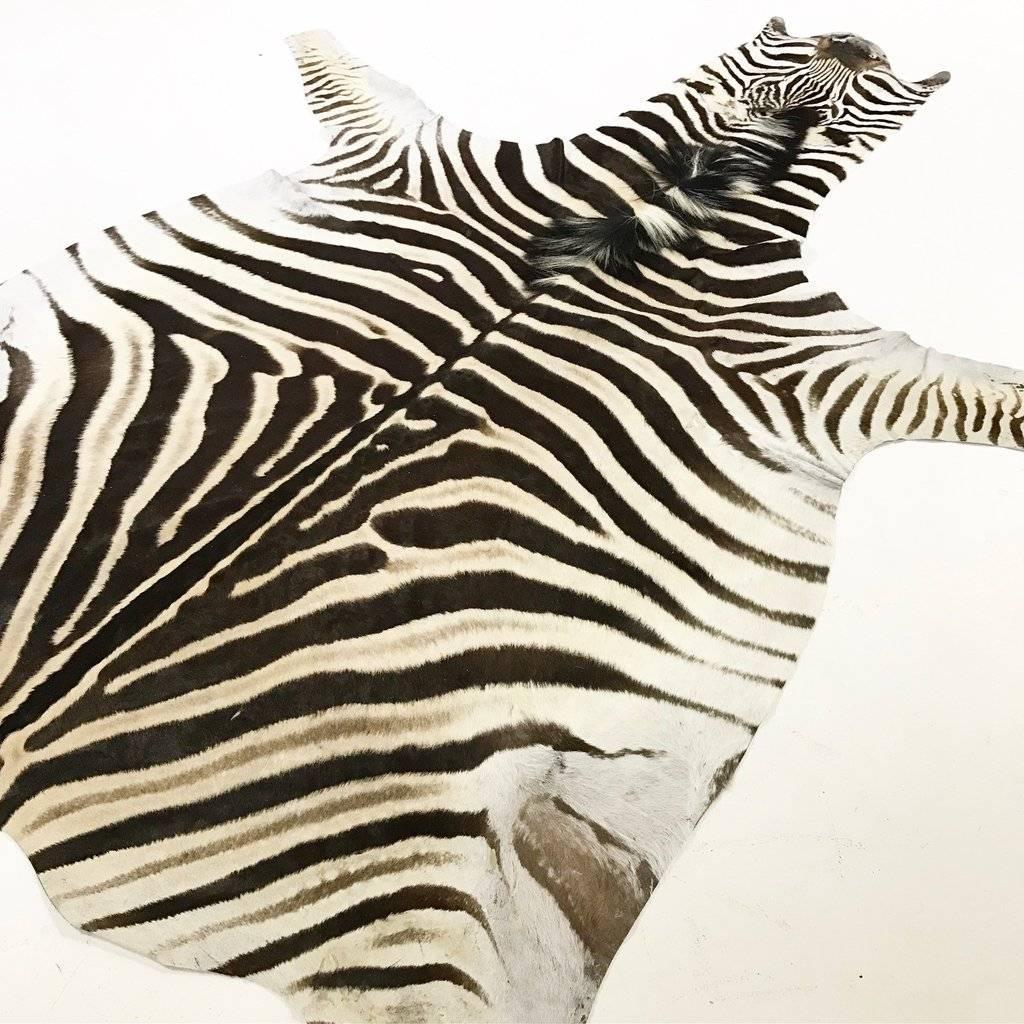 Zebra Hide Rug In Excellent Condition In SAINT LOUIS, MO