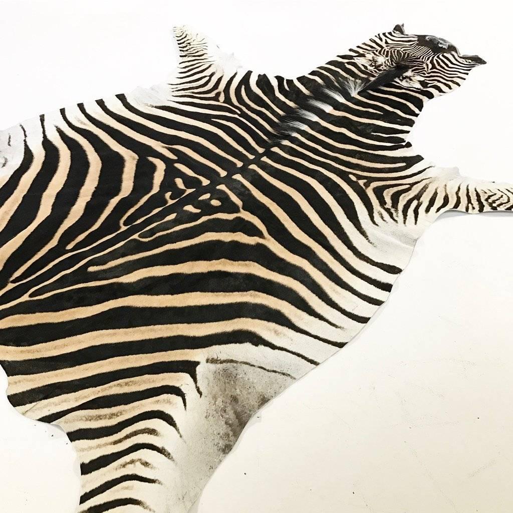 Zebra Hide Rug In Excellent Condition In SAINT LOUIS, MO