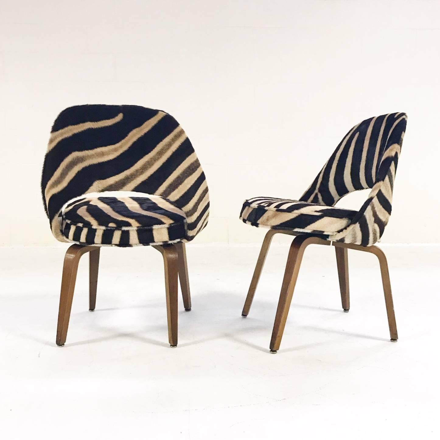 Vintage Eero Saarinen Executive Chairs for Knoll with Walnut Legs in Zebra Hide In Excellent Condition In SAINT LOUIS, MO