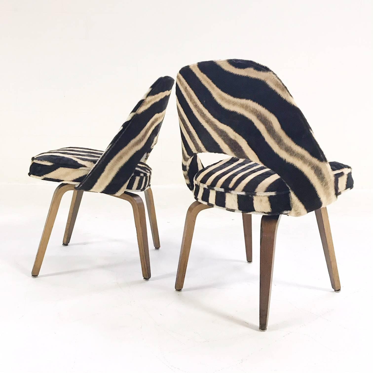 American Vintage Eero Saarinen Executive Chairs for Knoll with Walnut Legs in Zebra Hide
