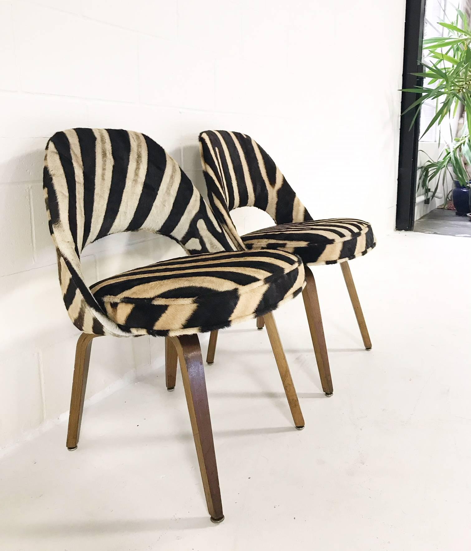 Vintage Eero Saarinen Executive Chairs for Knoll with Walnut Legs in Zebra Hide 3