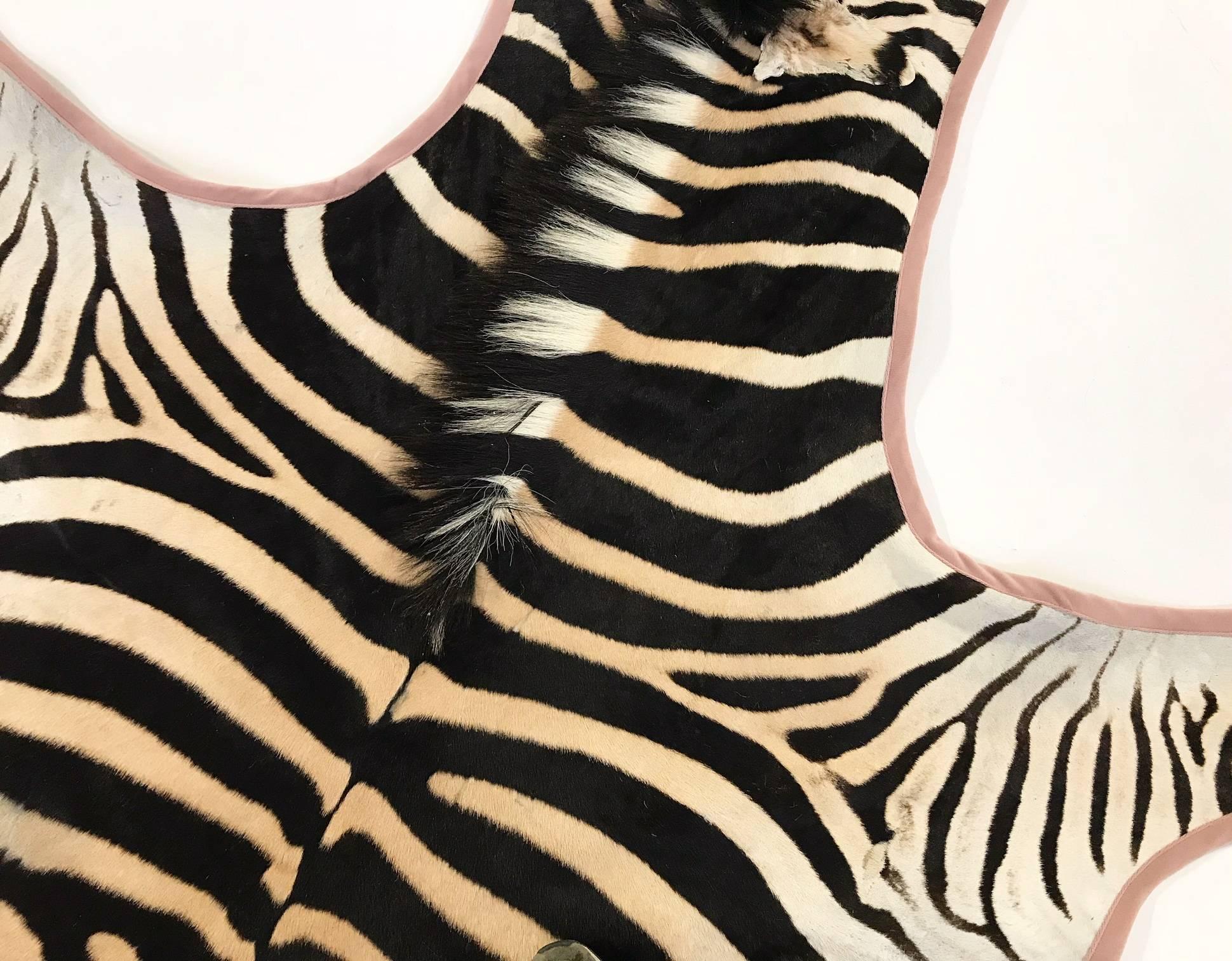 American Forsyth Zebra Hide Rug Trimmed in Blush Pink Velvet