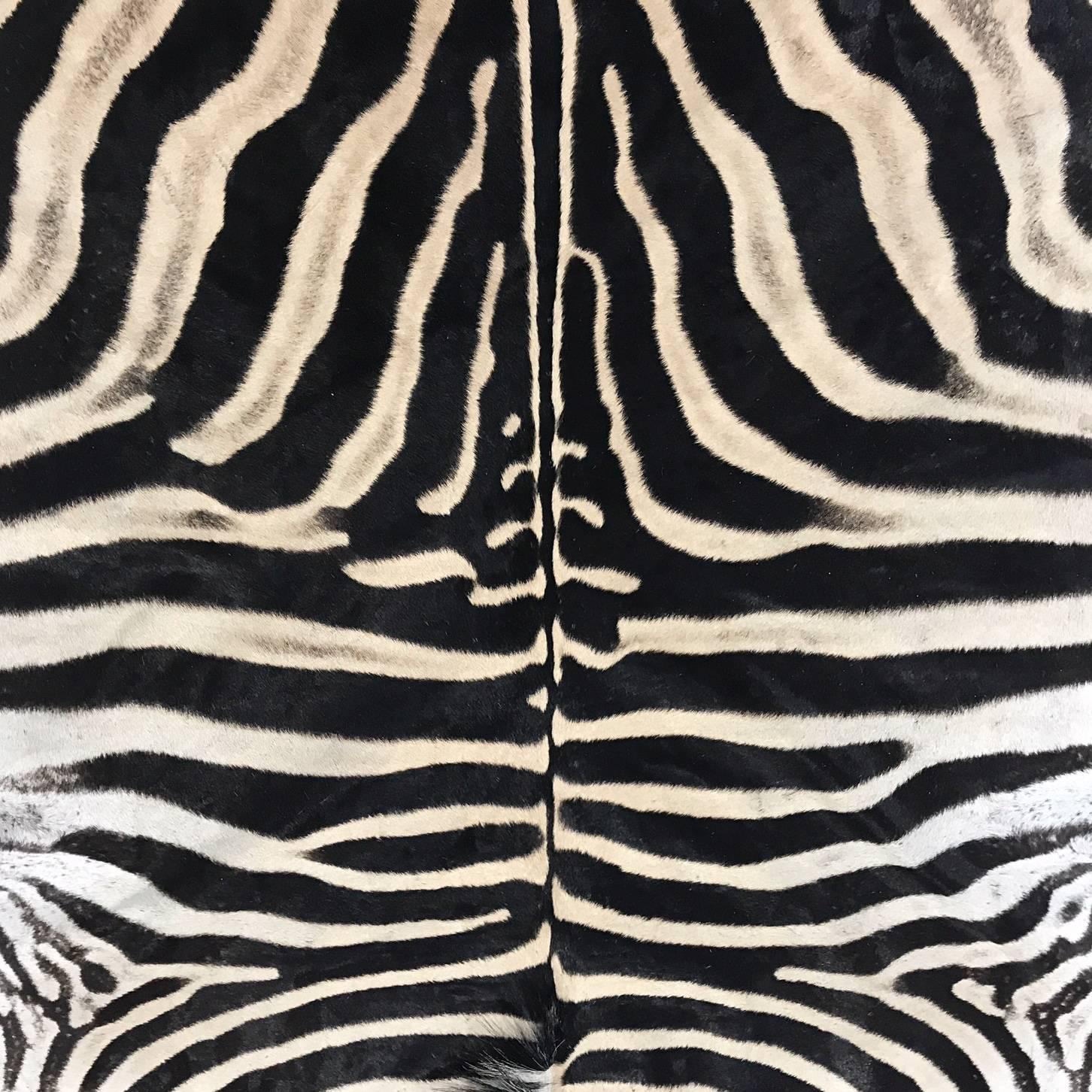 Contemporary Zebra Hide Rug Trimmed in Maasai Warrior Blanket