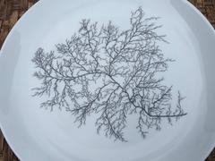 Giraud & Brousseau Limoges, Set of 12 Plates from Francoise Adnet