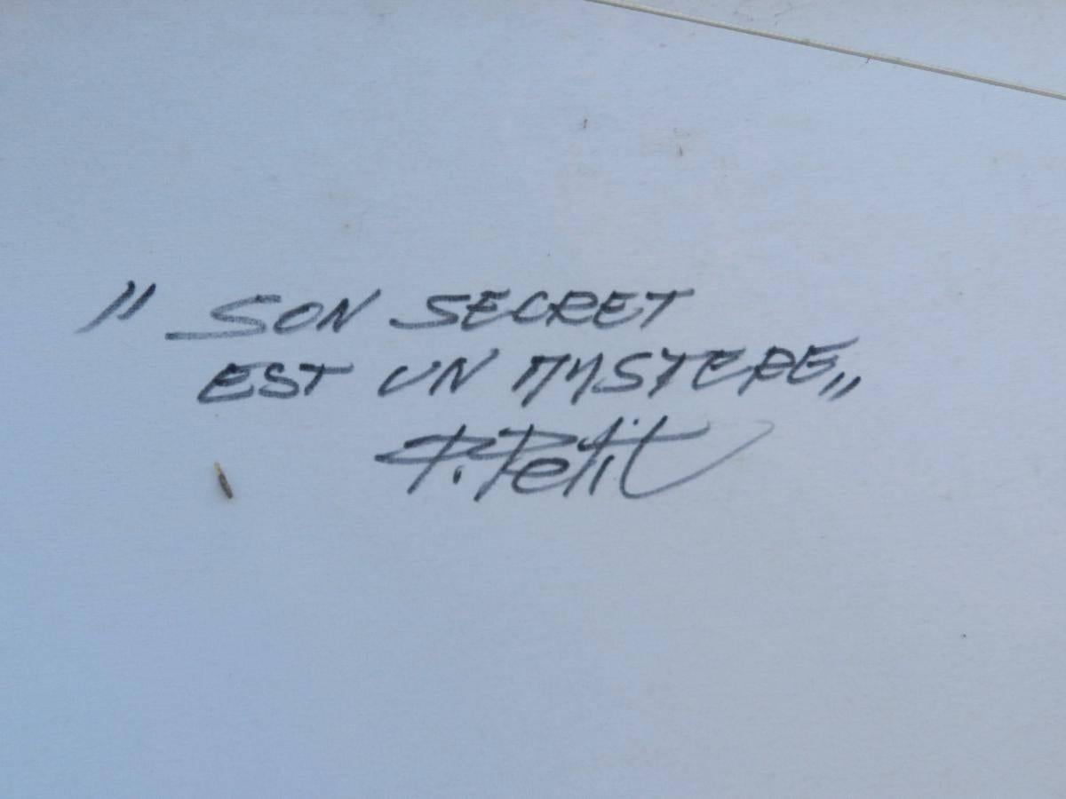 Pierre Petit, 