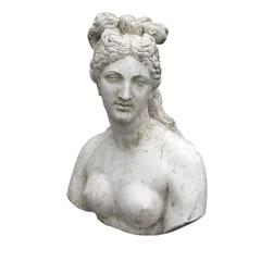 Divine Sculpture of 'Capitoline Venus' 4