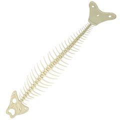 White Glazed Ceramic 'Fishbone' Sculpture 11