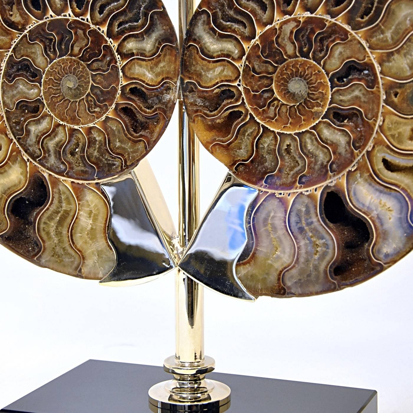 This lamp combines hand-craftsmanship with the beauty of nature by combining a pair of ammonite fossils (the shells of extinct cephalopods) with a man-made, nickel-plated brass base, designed with a simple construction so as not to interfere with