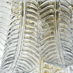 Felci Transparent Glass Wall Lamp
