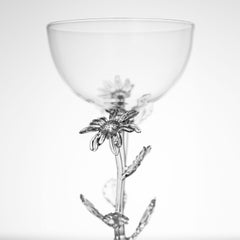 Chrysanthemum Leucanthemum Cocktail Glass