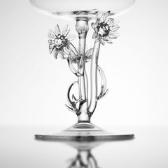 Anthemis Tinctoria Cocktail Glass