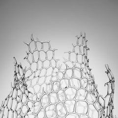 Coral Glass Sculpture #2