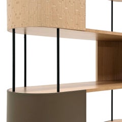 Librería Gae Lux de madera y cuero