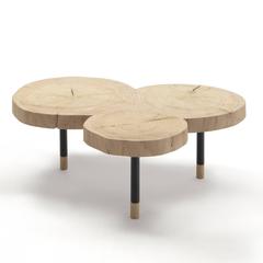 InsTable Coffee Table